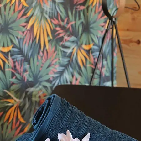 Maison Independante Avec Spa, Jardin Privatif En Normandie - Fr-1-497-175 Feriehus *